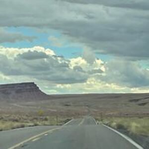 lillian_hinton avatar