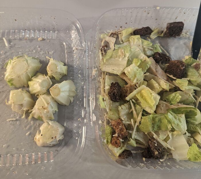 The 12-Dollar Salad I Got At Work Contained Seven Inedible Lettuce Parts