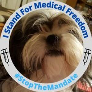 sugarhillfantasy avatar