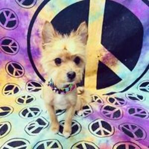 tabithamartin avatar