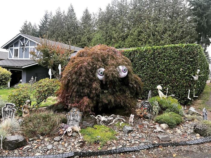 A Friend Of Mine Has A Weird Bush In Her Yard So She Incorporated It Into Her Halloween Decorations