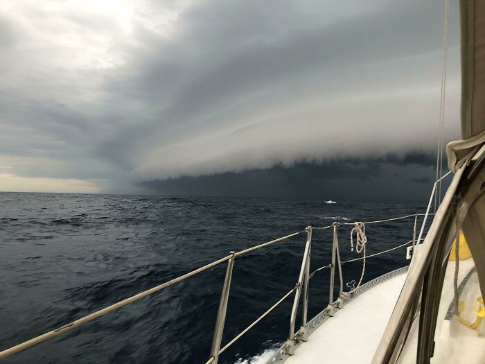 Sailing Into The Storm