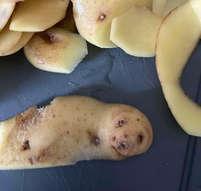 A Seal In My Potatoes