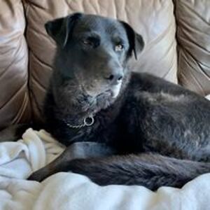 michelle_fedosoff avatar