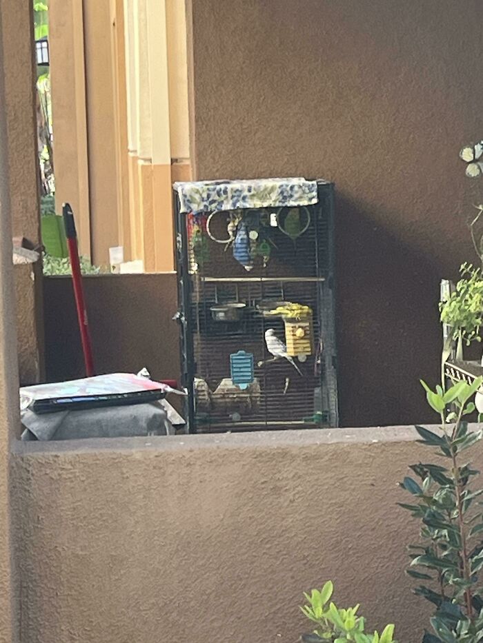 Is This Cage Cruel? One Of My Neighbors Has Like 8 Birds In There