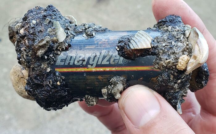 Found This Battery That Collected Minerals And Debris At The Ends At The Beach 
