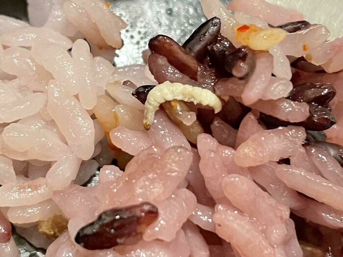Found A Worm In My Takeout Food