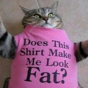 vintagebritain avatar