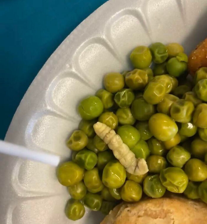 This Thing In My Peas At A Public School