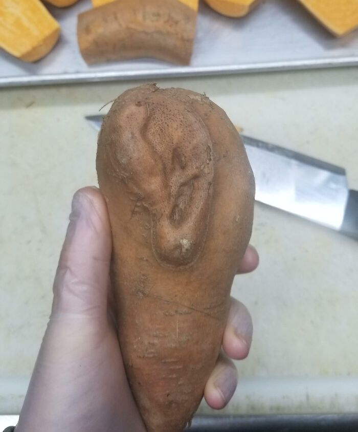 This Sweet Potato I Found At Work Has An Ear