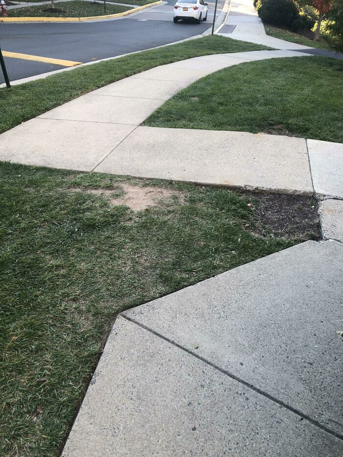 A Rejection Of The Most Confusing Section Of Sidewalk In My Apartment Complex