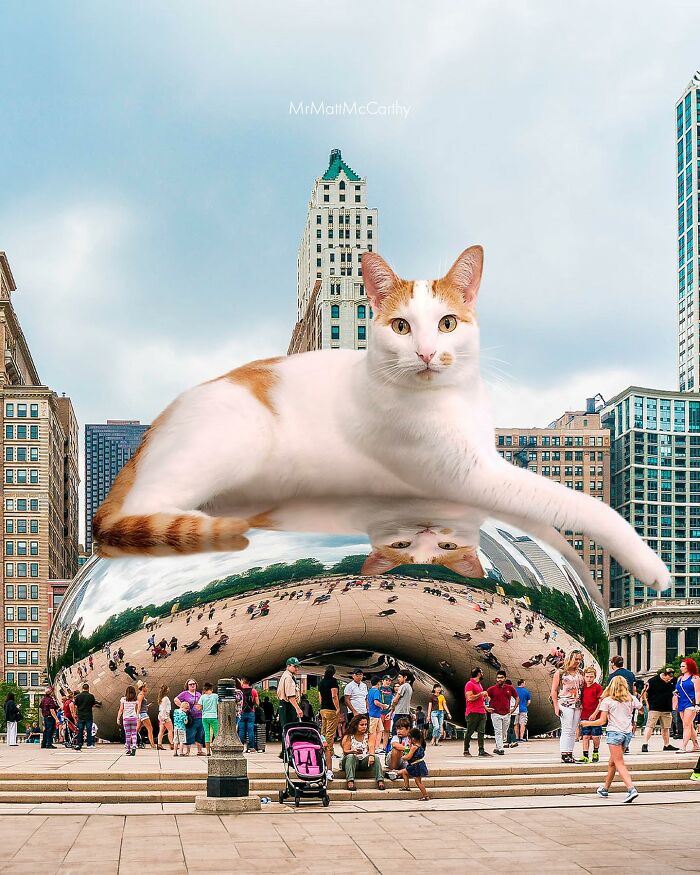 Artist Creates A Parallel World Where There Are Giant Cats Everywhere — And Everyone Thinks It's Normal (New Pics)