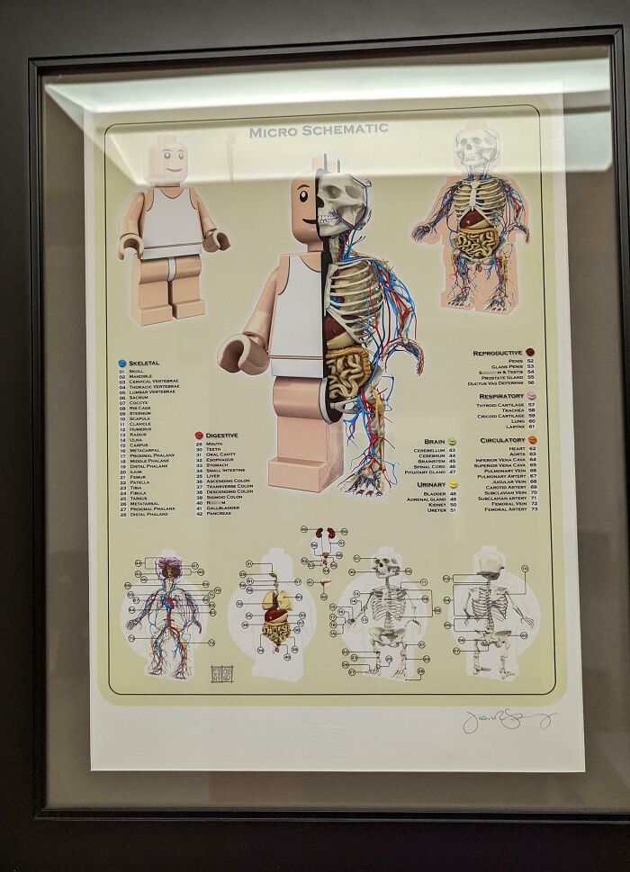 This LEGO Schematic At My Doctor's Office