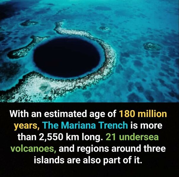 Unusual Facts