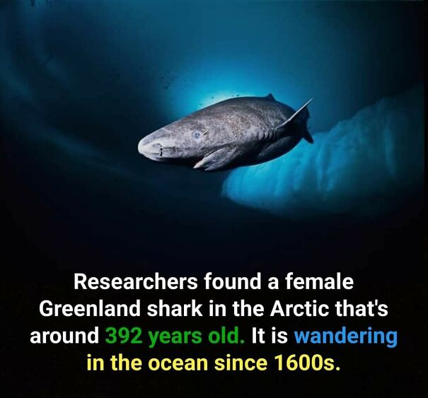 Unusual Facts