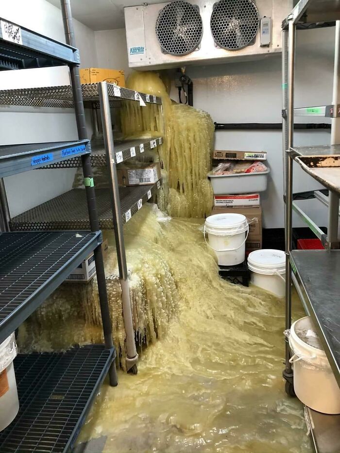 You Think You're Having A Bad Day? Just Think About The Poor Guy Who Will Be Forced To Clean This Up
