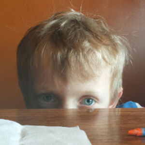 lucaseichmeyer avatar