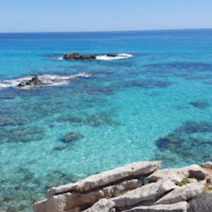 nicoleschonbrodt avatar