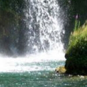 capobandafabcic avatar