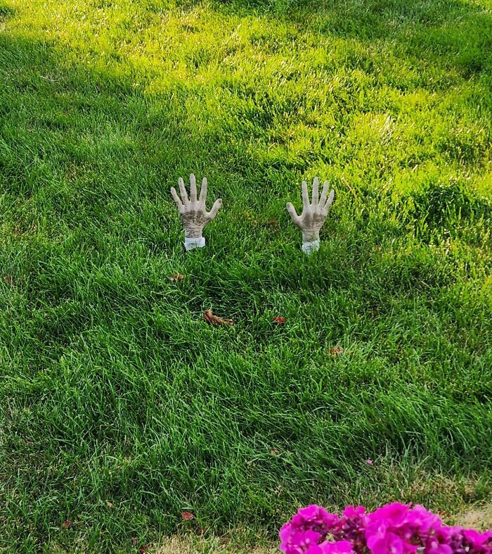 All Of Our Halloween Decorations Blew Away Last Night Except For One Set Of Zombie Hands