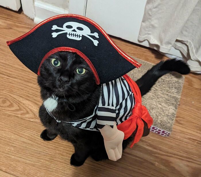 My Boy Is Ready For Halloween 