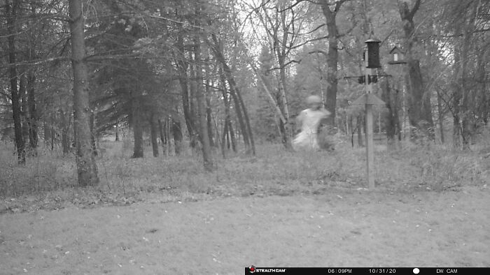 Moved Into A New Development On An Old Farm And Set My Trail Cam Up