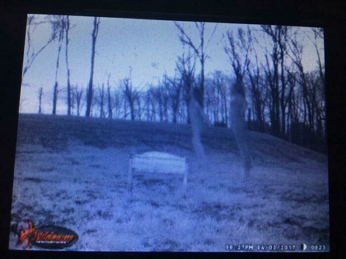 Trail Cam Photo Captured After Lake Was Dug. Ghost Hunter Type Team Called Them Tree People