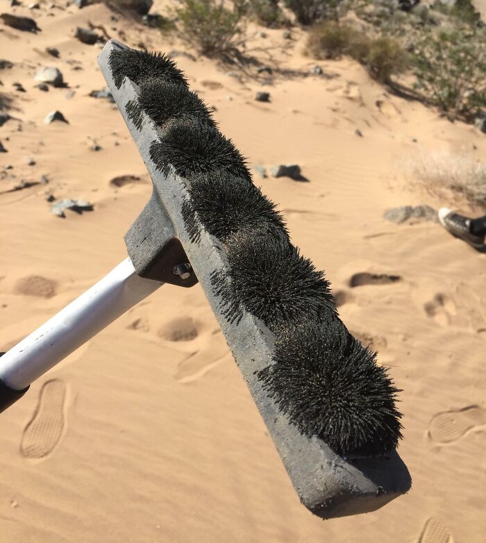 Some Iron Filings That We Collected With A Magnet Out In The Mohave Desert