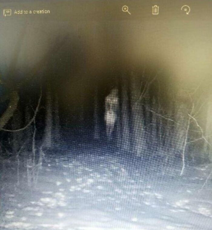 What The Hell Is This.. Trail Cam Ghost?