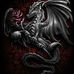 sherriedriscoll avatar