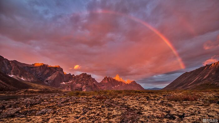 When My Sunrise Alarm Went Off I Heard Rain Coming Down On My Tent And I Almost Went Back To Sleep But I Decided To Peak Outside Anyway And I Witnessed The Best Sunrise I've Ever Seen (Tombstone Territorial Park, Yt, Ca) 
