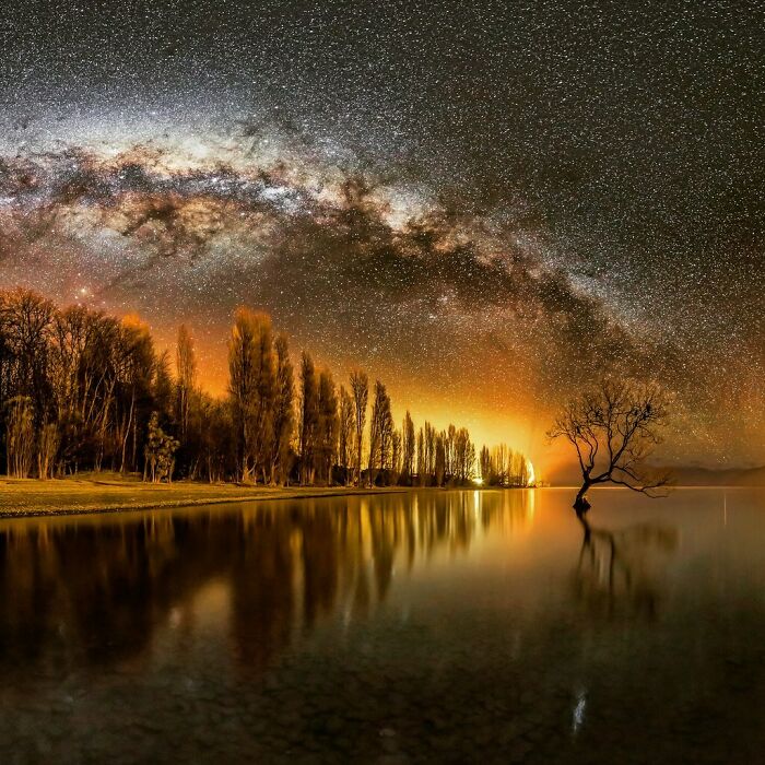 A Lonely Tree Under The Milky Way In Wanaka, New Zealand By Mike Mackinven 