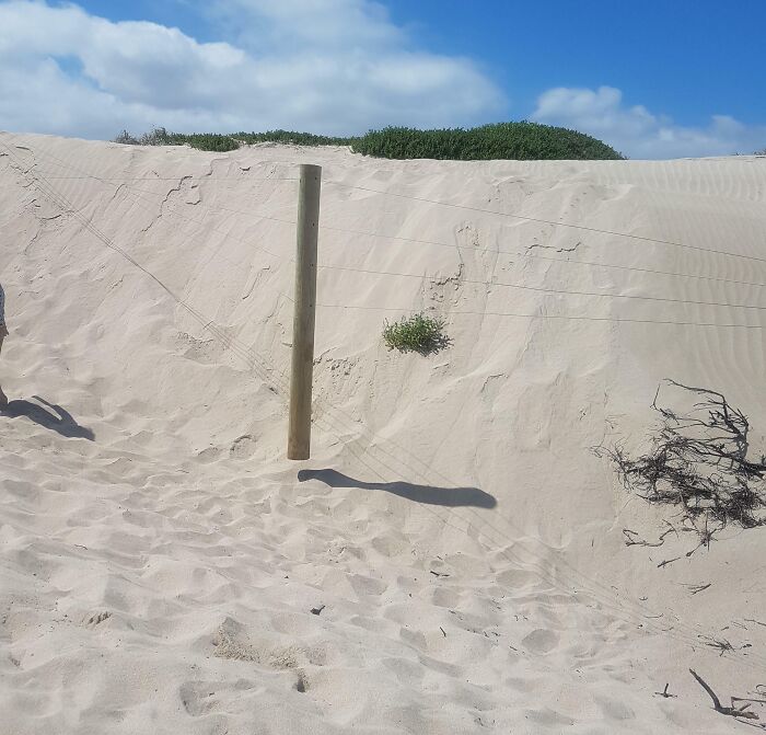 The Erosion On This Sand Dune Has Left The Fence Post Suspended Above The Sand
