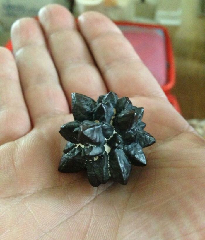 My Friend Traveled To Egypt And Found This Crazy Awesome-Looking Object In The Middle Of The Desert. Meteorite?