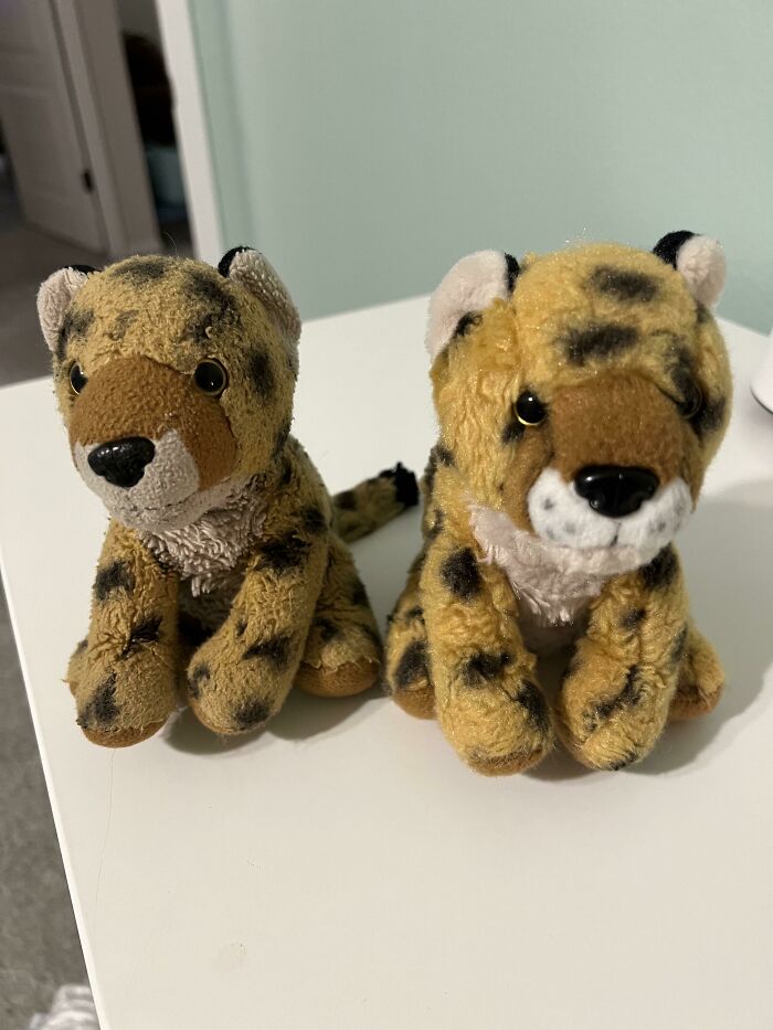 My Daughter’s Favorite Stuffed Animal “Scratch” vs. The New Backup Replacement
