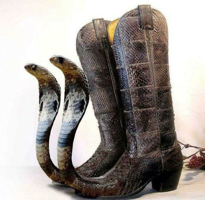 Cobra Cowboy Boots