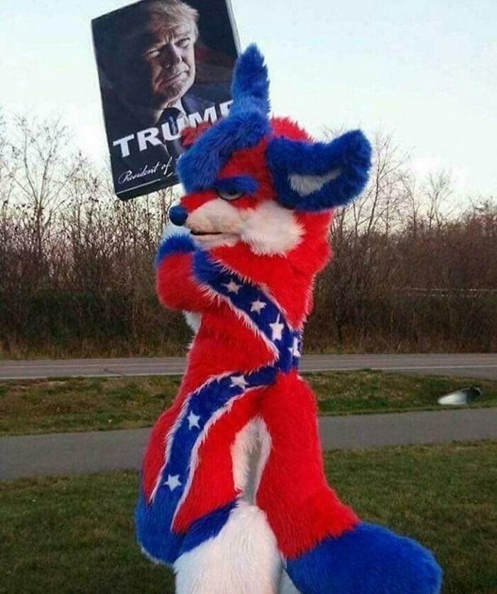 This Confederate Flag Furry