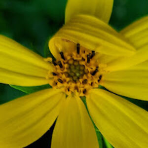 knowbodycares avatar