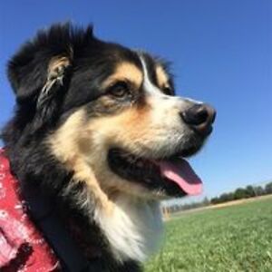 bluebabedonna avatar