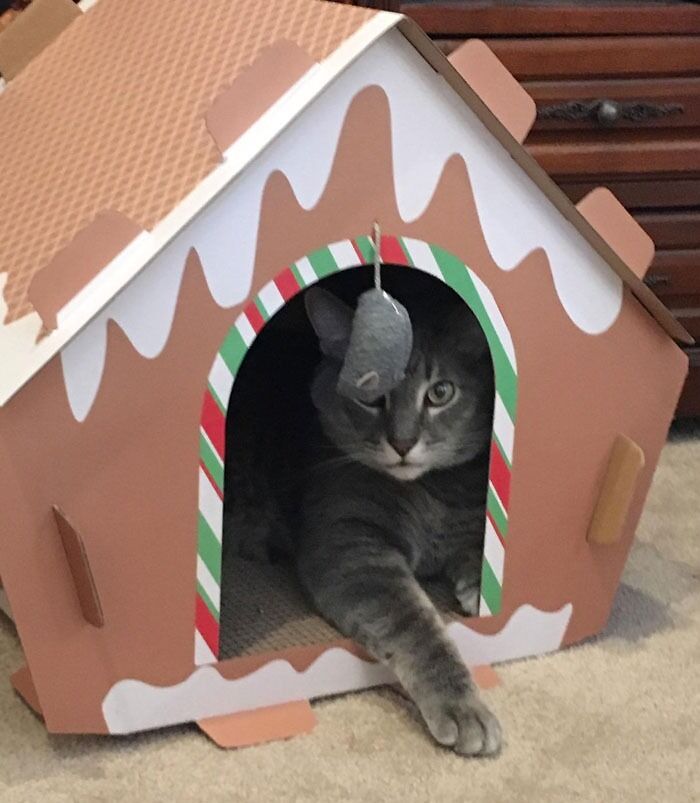 A "gingerbread" cardboard cat scratcher house, for your feline friend who wants to celebrate the holidays the same way they celebrate everything else — by scratching up a storm.