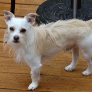 sandrajohnson_2 avatar