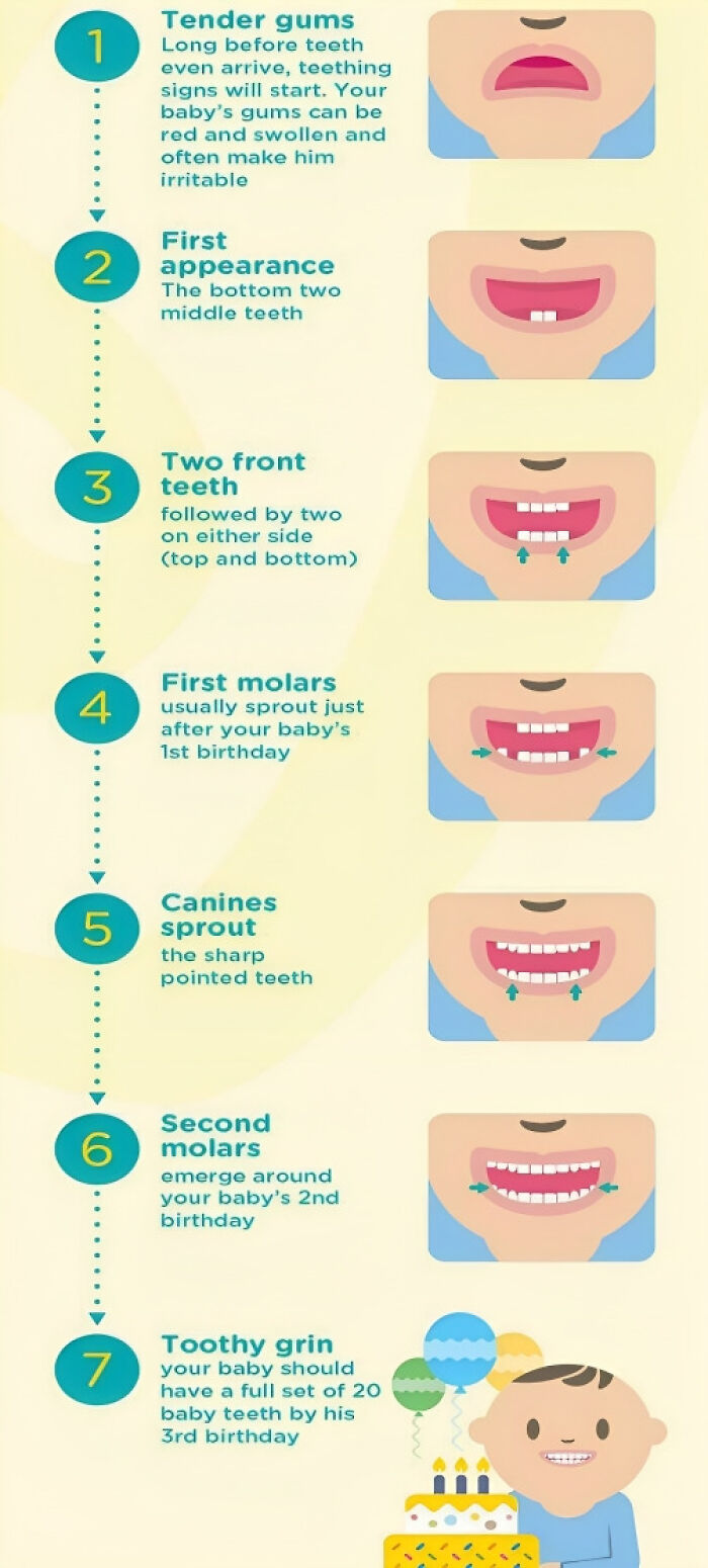 Baby Teeth Timeline