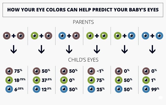 How Your Eye Color Can Help Predict Your Baby's Eyes
