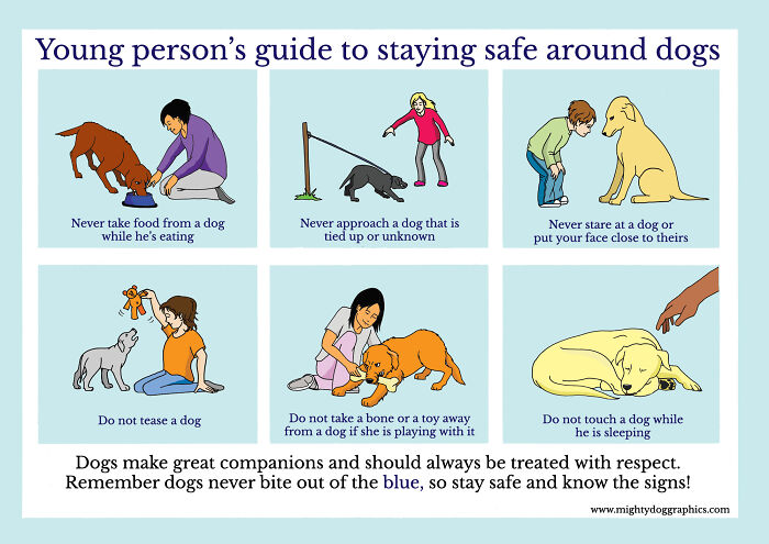 Remember To Educate Your Kids About Dog Bite Prevention Over The Holidays. Kid's Are Way Over Represented In Serious Dog Bites