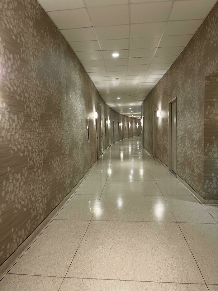 The Hallway To My Psychiatrists Office