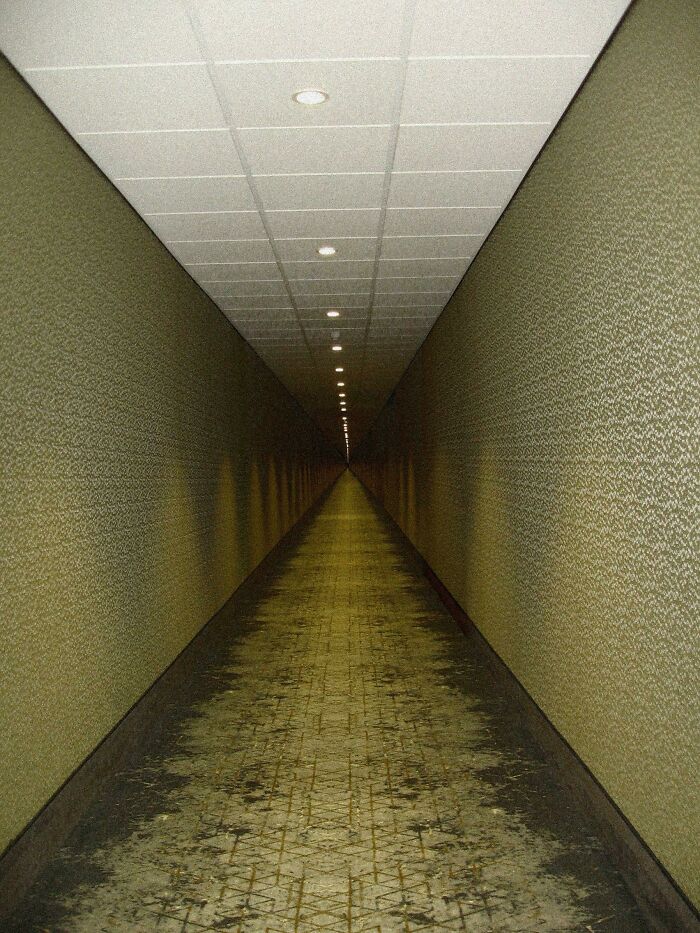 It's No Use To Run In This Hallway. You Won't Even Make It In A 100 Years