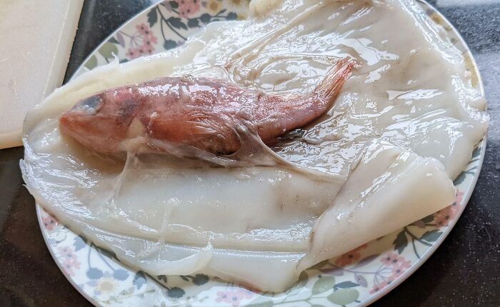My Wife Cut Open Some Squid While Making Dinner To Find The Squid's Dinner