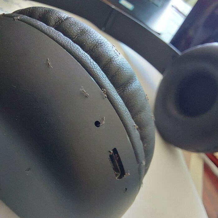 Un auricular dejó de funcionar de repente. Estaba lleno de hormigas