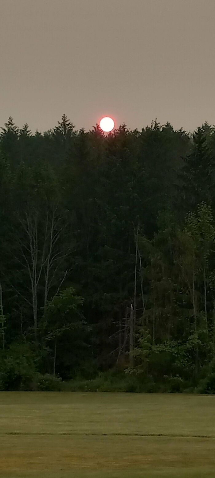 The Smoke From Canada Is Thick Enough In Pa That This Is Our Sun Right Now. Just An Orange Circle