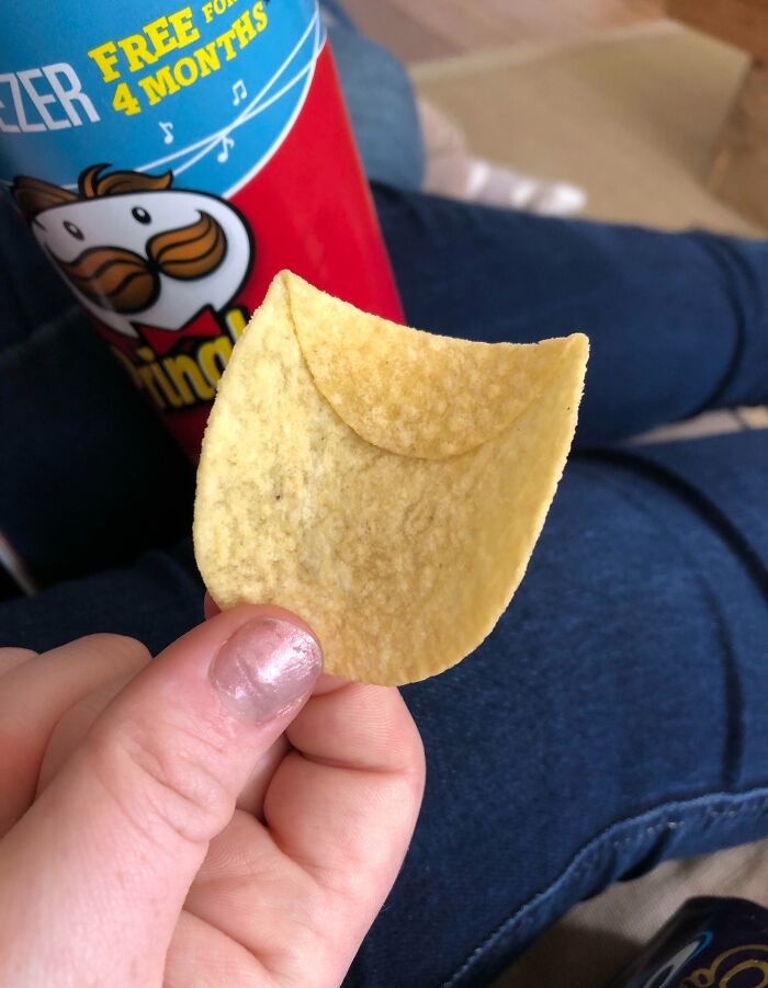 This Folded Pringle My Friend Found In The Can